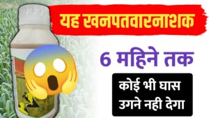 बायर एलियन प्लस: एक छिड़काव और 6 महीने तक खरपतवार से छुटकारा