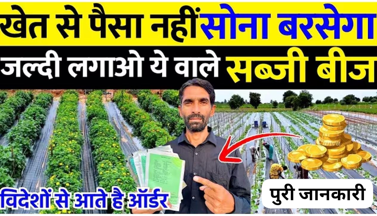 सब्जी की खेती