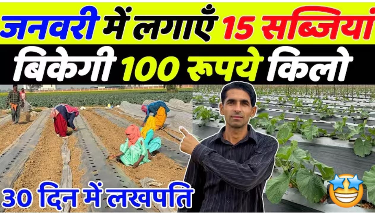 जनवरी में करें इन चुनिंदा